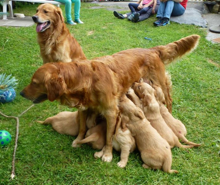 8 Mama Papa und zehn Kinder