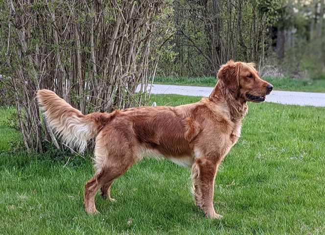 Mai 2022 Shanti 1