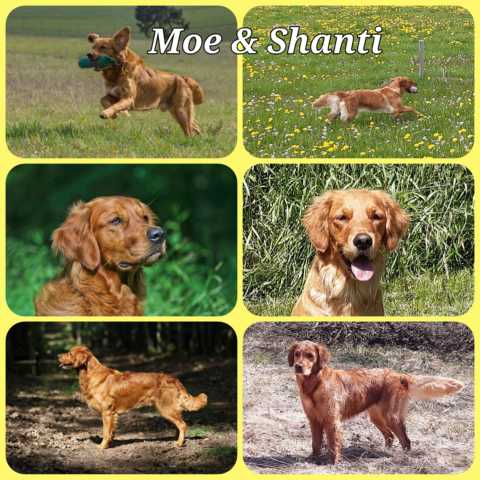 Moe und Shanti 3