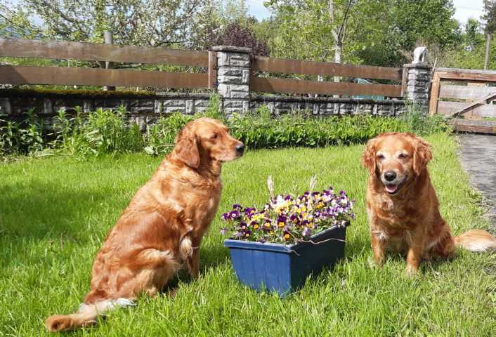 Sitara und Shanti