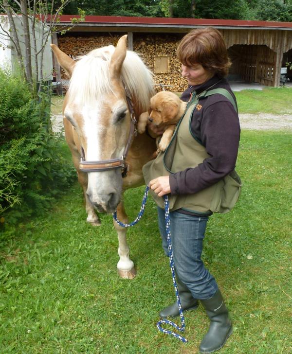 0 l 9.7.15 Begegnung mit dem Pferd Kopie