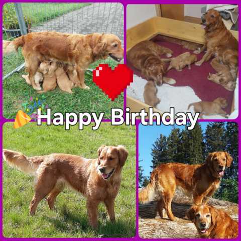 Shanti 7 Jahre