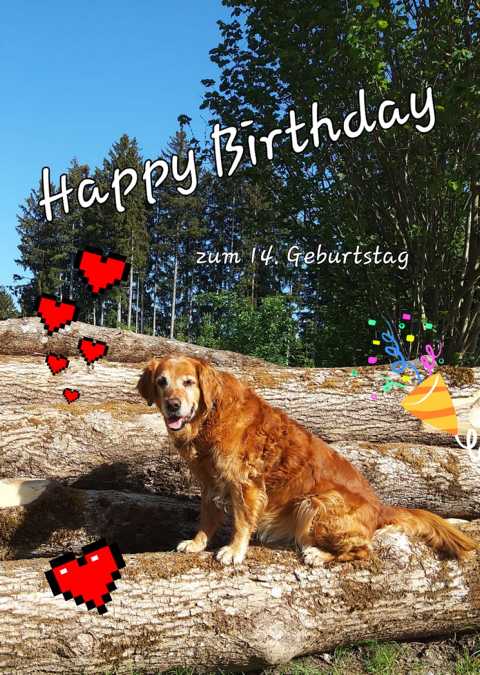 14. Geburtstag