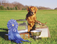 speaker trophies